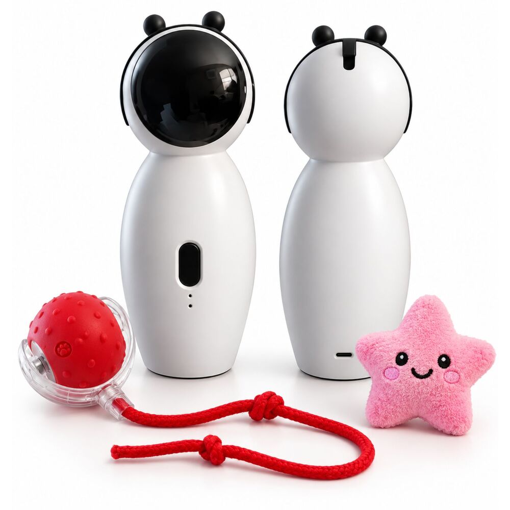 🐱 Kitty Toy Box